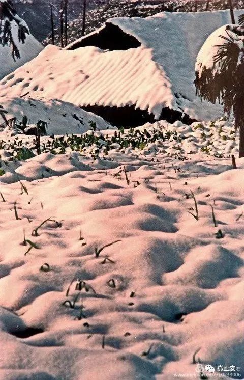 90年代正安雪景，满满的全是回忆…..插图43