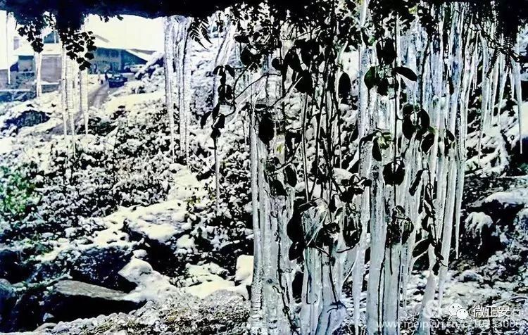90年代正安雪景，满满的全是回忆…..插图47