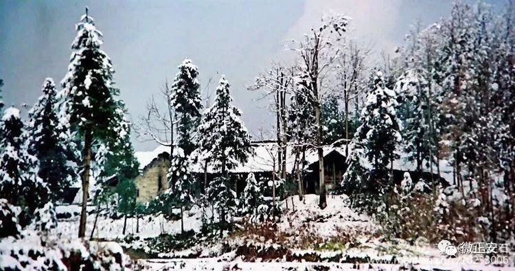 90年代正安雪景，满满的全是回忆…..插图46