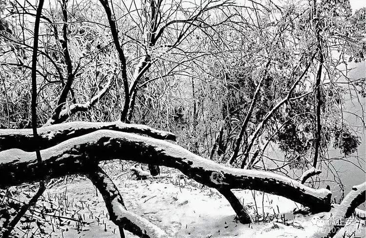 90年代正安雪景，满满的全是回忆…..插图48