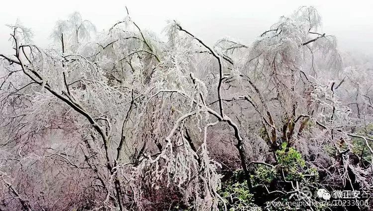 90年代正安雪景，满满的全是回忆…..插图49