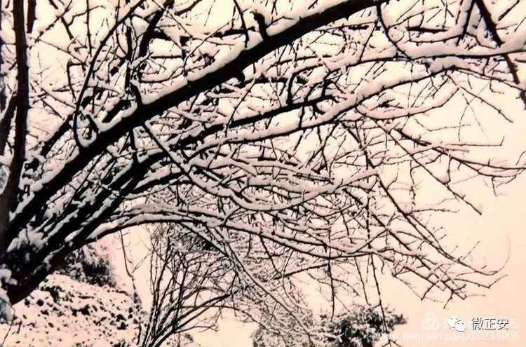 90年代正安雪景，满满的全是回忆…..插图53
