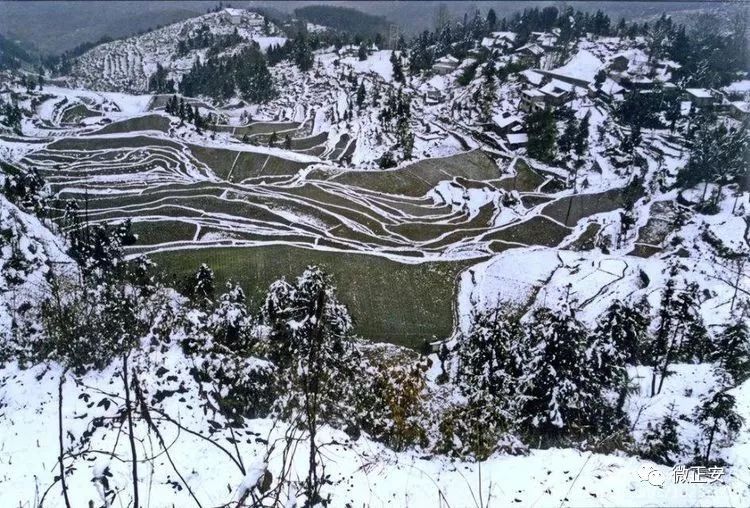 90年代正安雪景，满满的全是回忆…..插图61