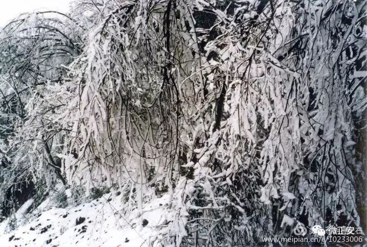 90年代正安雪景，满满的全是回忆…..插图62