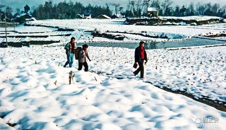 90年代正安雪景，满满的全是回忆…..插图64