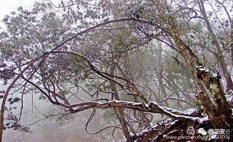 90年代正安雪景，满满的全是回忆…..插图72