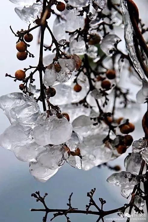 90年代正安雪景，满满的全是回忆…..插图71