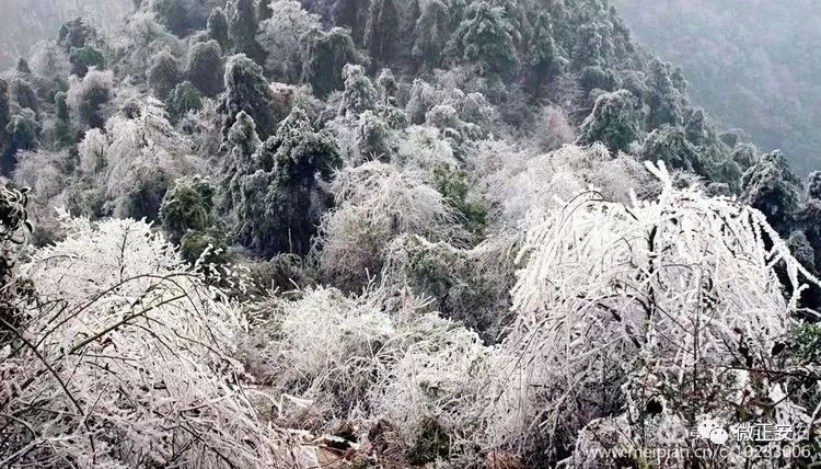 90年代正安雪景，满满的全是回忆…..插图74