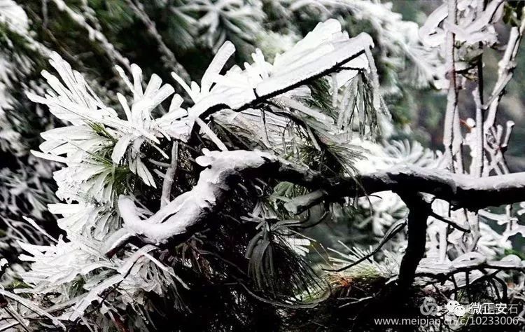 90年代正安雪景，满满的全是回忆…..插图73