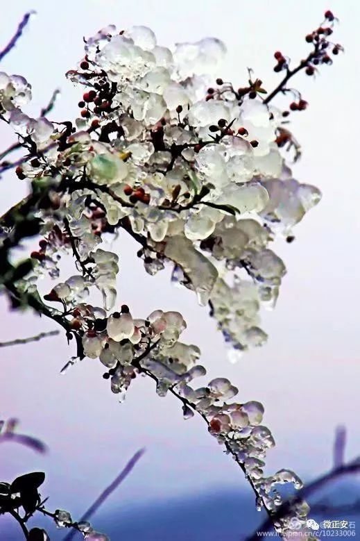 90年代正安雪景，满满的全是回忆…..插图75