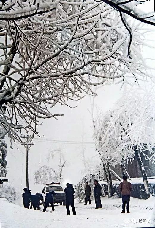 90年代正安雪景，满满的全是回忆…..插图77
