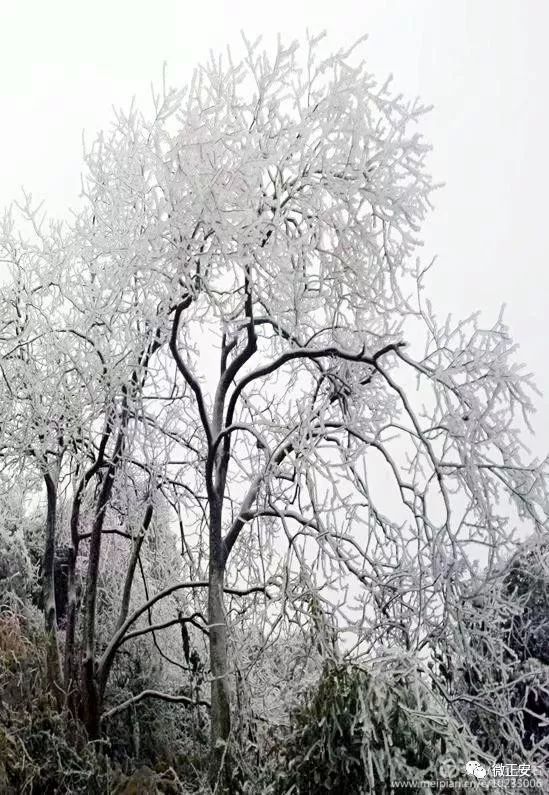 90年代正安雪景，满满的全是回忆…..插图76