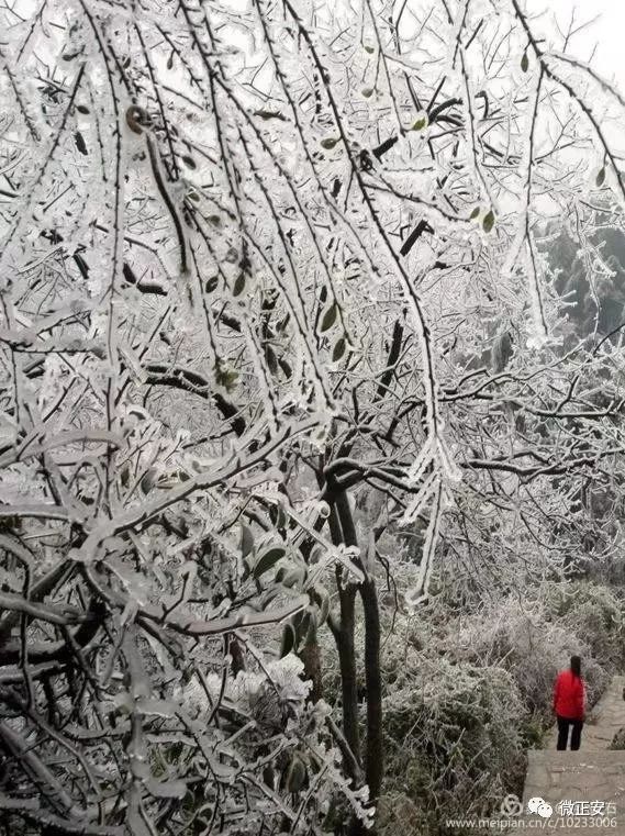 90年代正安雪景，满满的全是回忆…..插图80