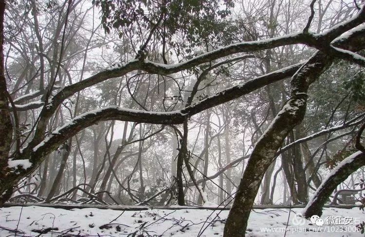90年代正安雪景，满满的全是回忆…..插图85