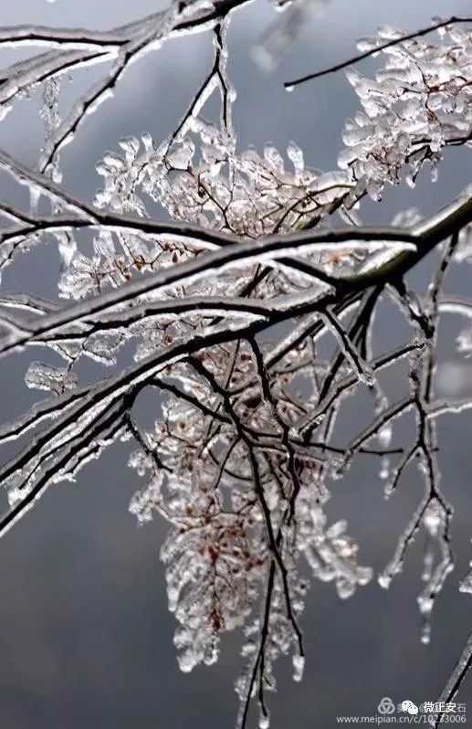 90年代正安雪景，满满的全是回忆…..插图83