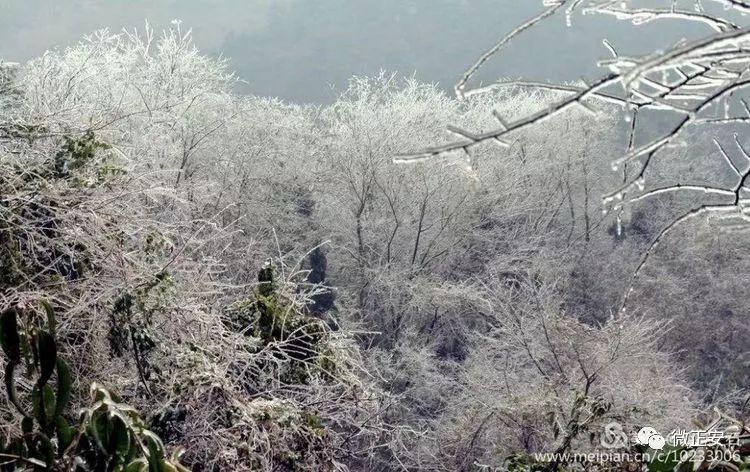 90年代正安雪景，满满的全是回忆…..插图82