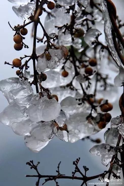 90年代正安雪景，满满的全是回忆…..插图86