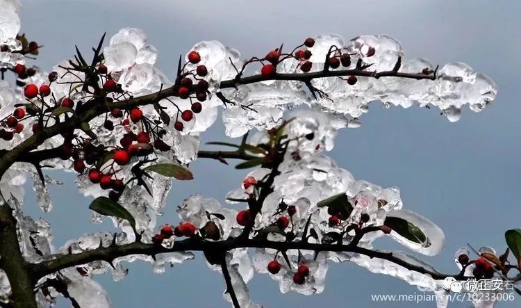 90年代正安雪景，满满的全是回忆…..插图88