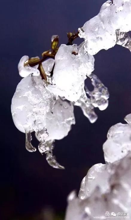 90年代正安雪景，满满的全是回忆…..插图87