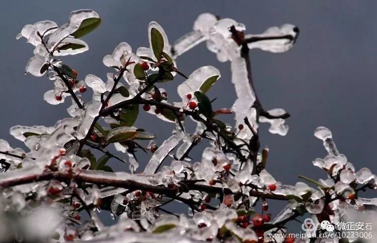 90年代正安雪景，满满的全是回忆…..插图89