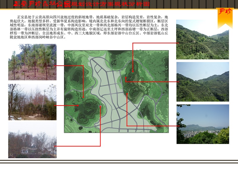 未来尹珍森林公园将是什么样子插图1