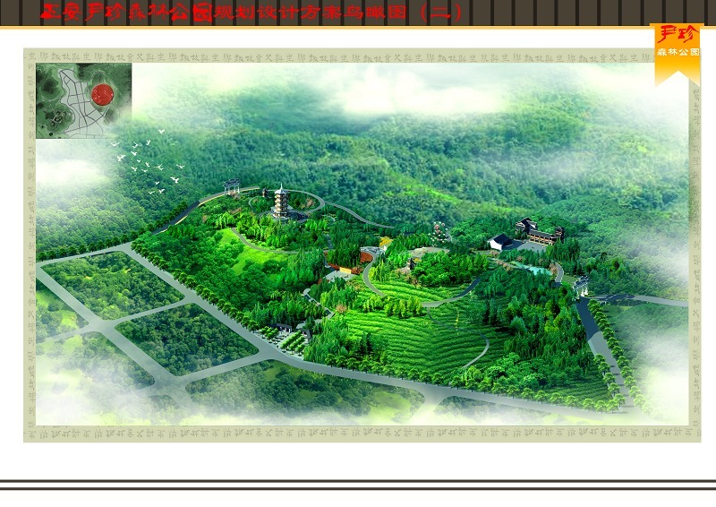 未来尹珍森林公园将是什么样子插图9