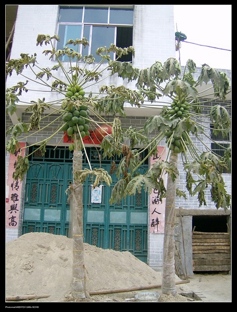 正月里来时初三，骑着摩托奔罗甸插图10
