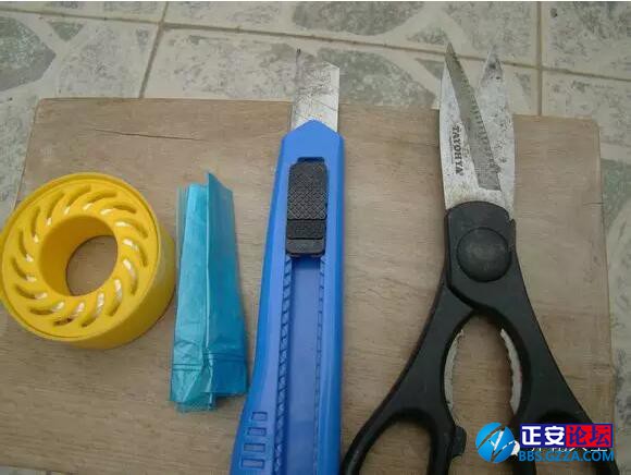 一株三角梅如何开出五颜六色的花？插图2