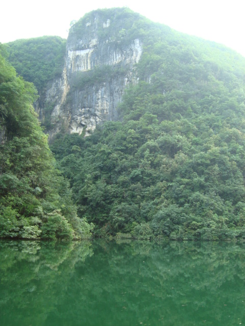 美丽小雅插图8