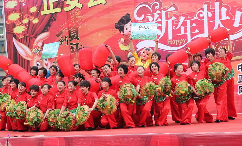 上刀梯舞龙狮惊险刺激   颂欢歌跳劲舞喜庆新年——正安2011年春节联欢活动全程记录插图66