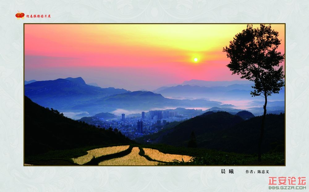迎春摄影图片展插图7