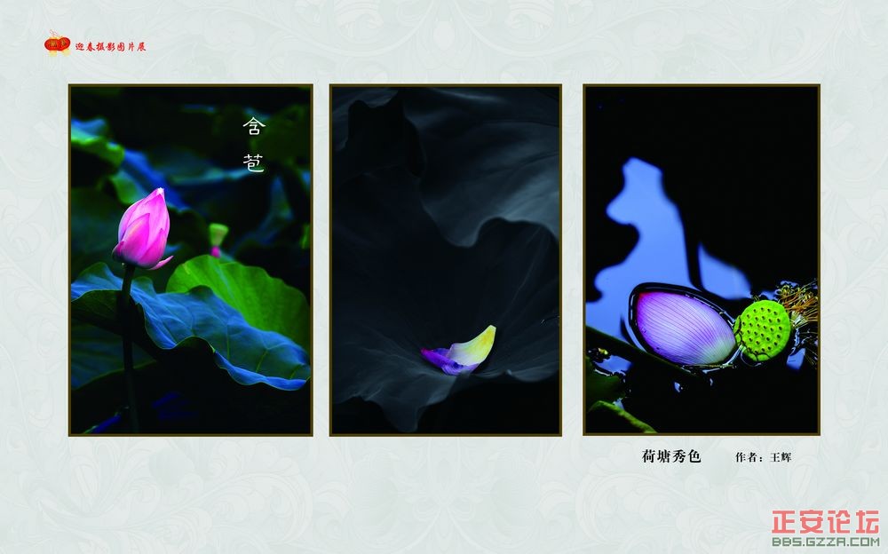 迎春摄影图片展插图9