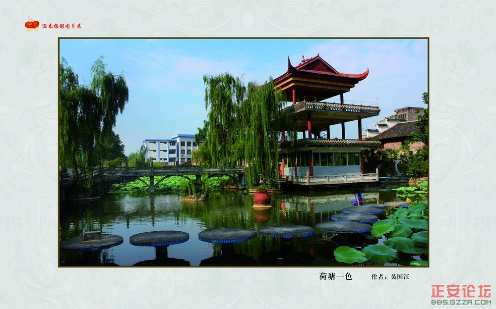 迎春摄影图片展插图10