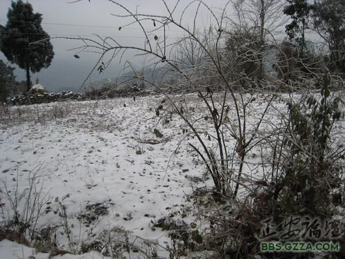 锵锵三人行——冰雪贵州助学记插图6