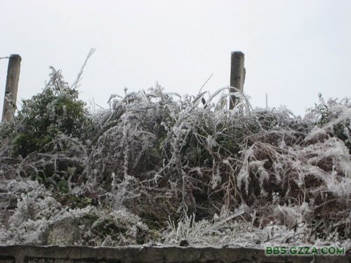 锵锵三人行——冰雪贵州助学记插图1