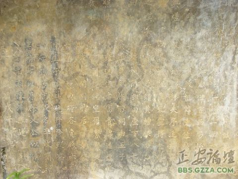 中观之观插图7