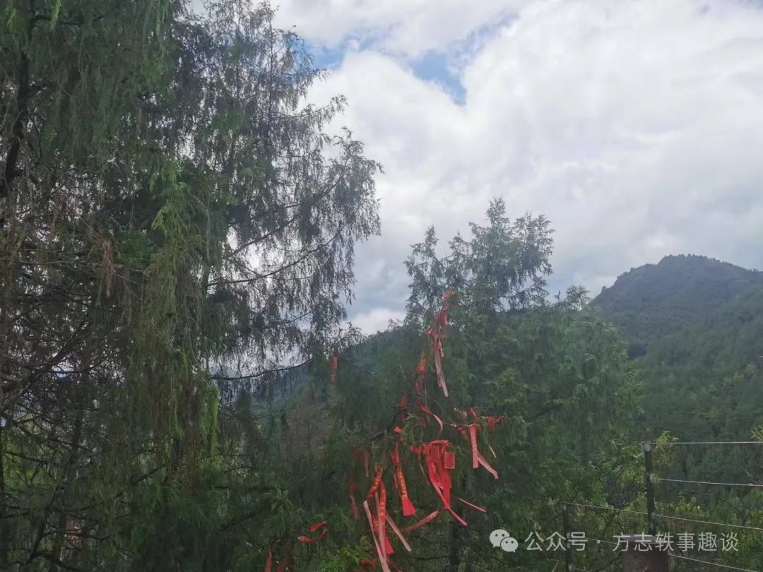 遵义正安：凤仪有座石笋峰插图5