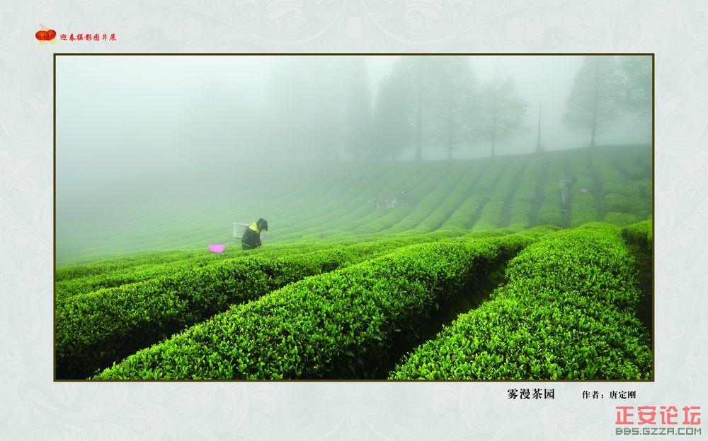 迎春摄影图片展插图11