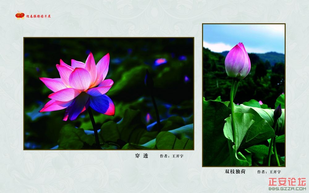 迎春摄影图片展插图17
