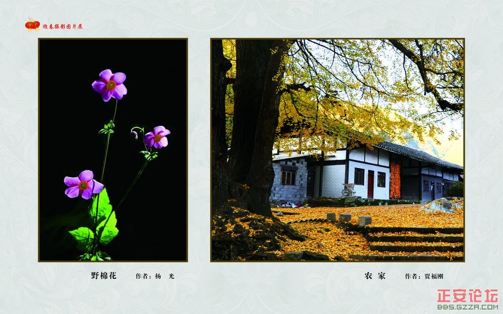 迎春摄影图片展插图20