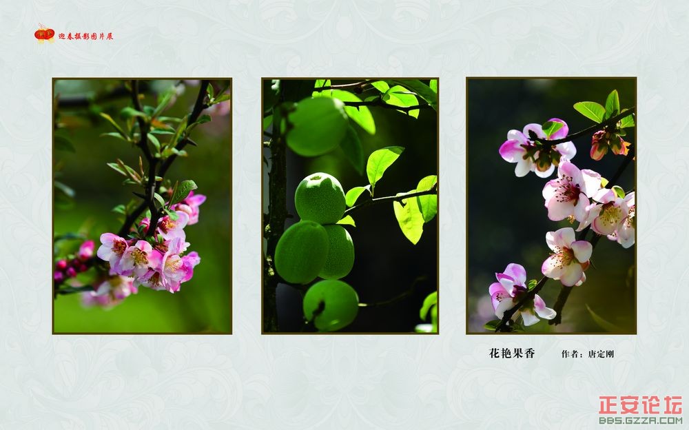 迎春摄影图片展插图24
