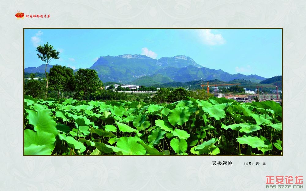 迎春摄影图片展插图30