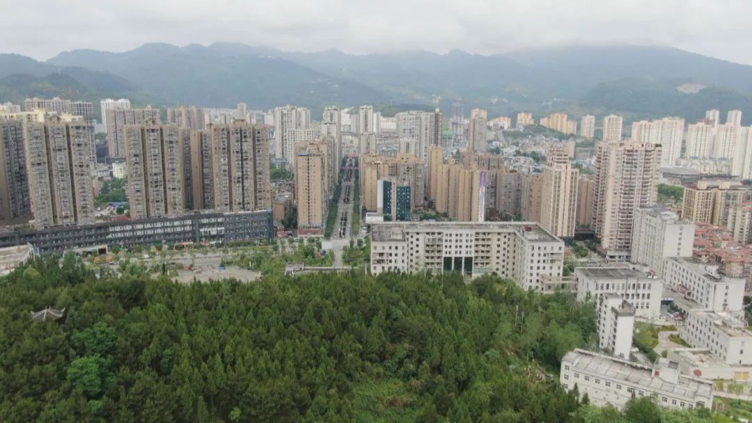 遵义正安：向上生长的力量插图3