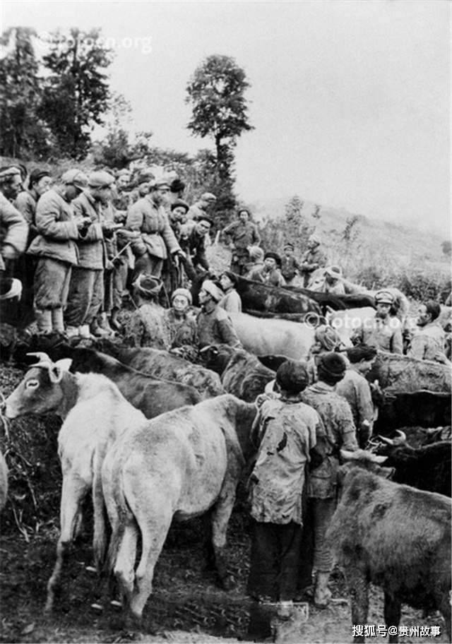 揭秘70年前：家乡正安县城获得解放背后的传奇故事插图5