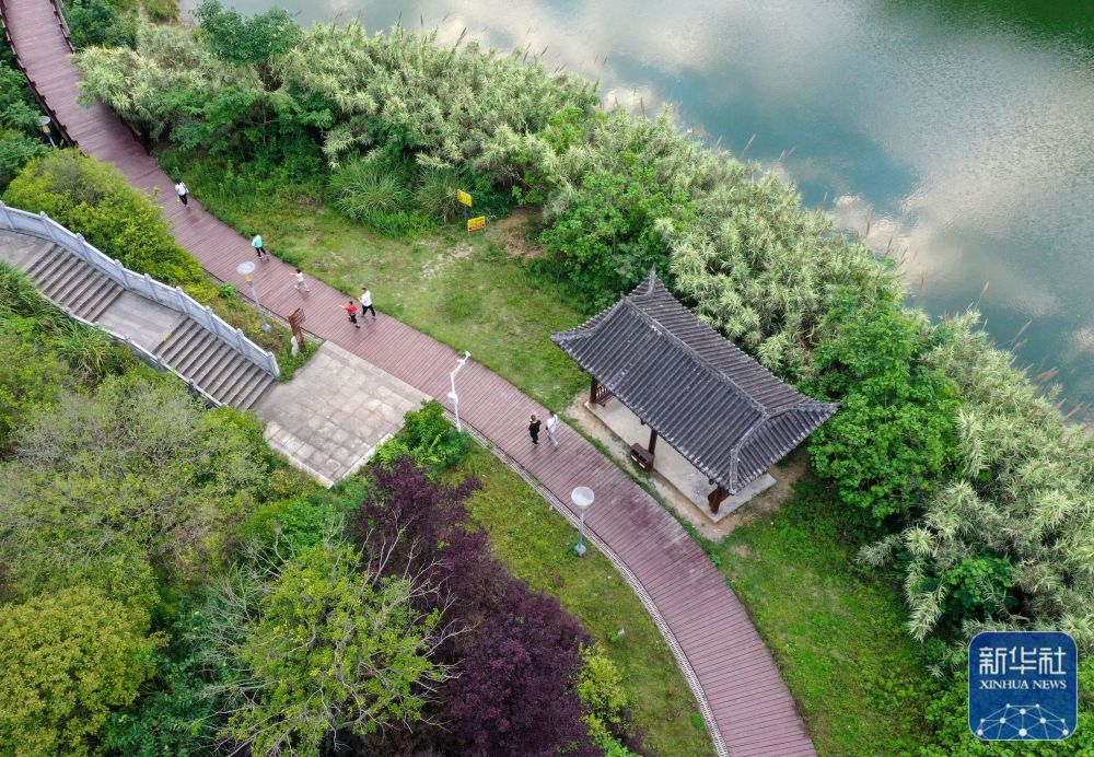 正安北郊湖湿地公园插图14