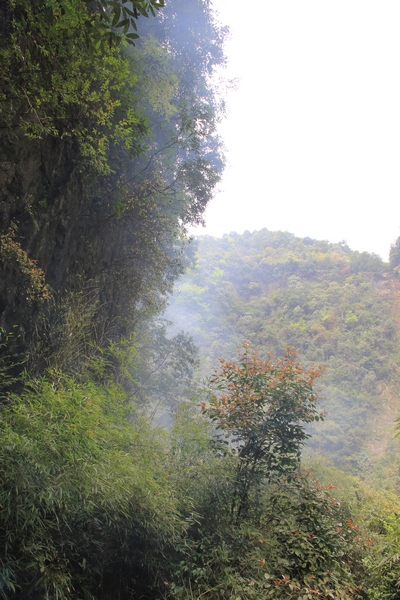 峡谷传奇插图37