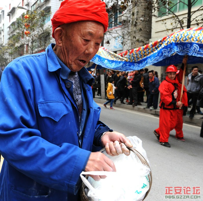 金蛇狂舞  古凤腾飞插图20