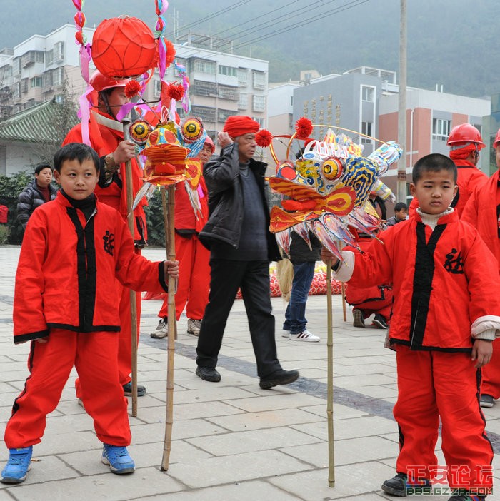 金蛇狂舞  古凤腾飞插图22