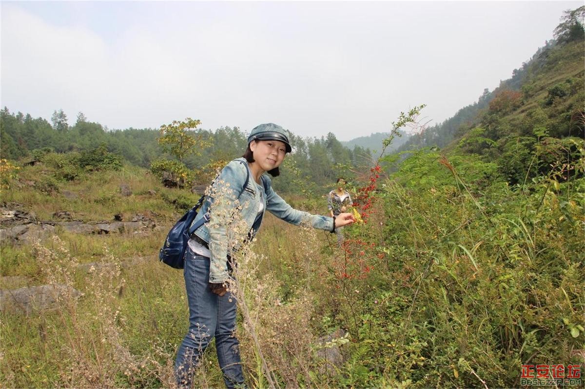 峡谷美景游不尽，故事传奇讲不完——庙塘河麻沟游记（走遍正安第二十六期 ）插图56