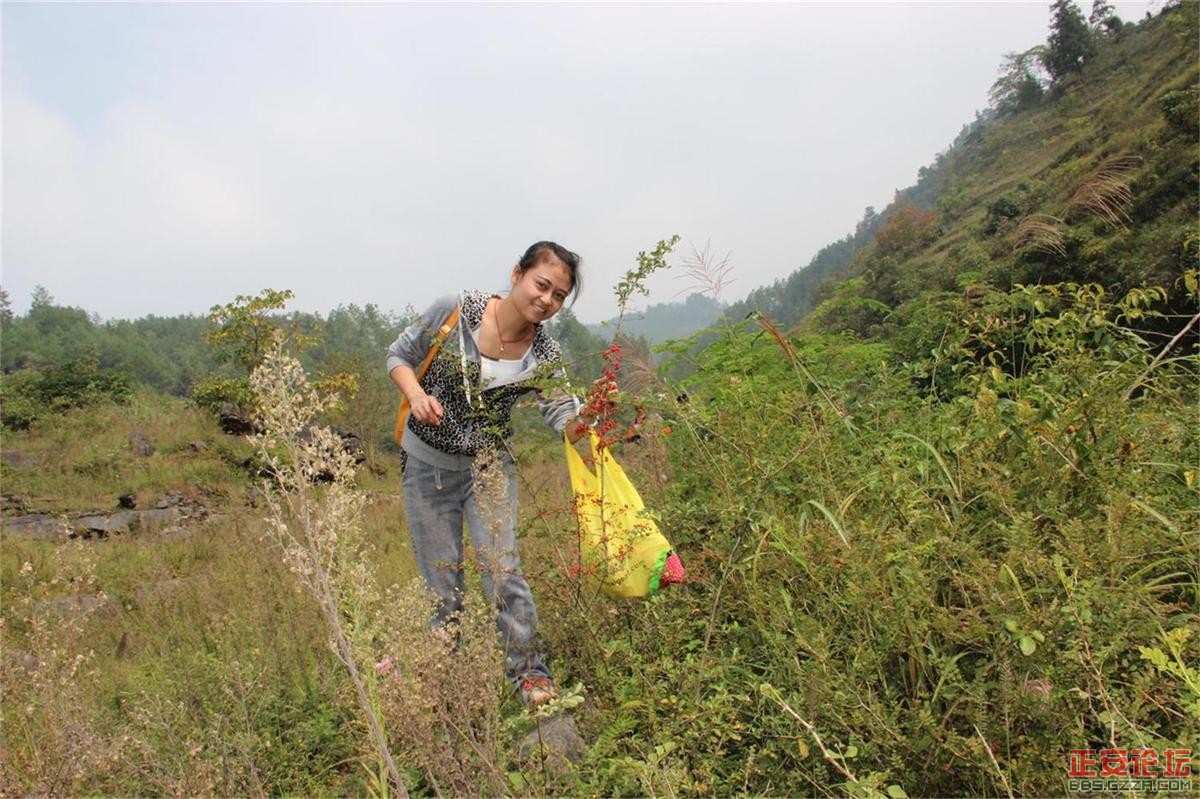 峡谷美景游不尽，故事传奇讲不完——庙塘河麻沟游记（走遍正安第二十六期 ）插图57